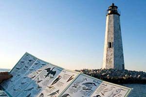 Newpoint Comfort Lighthouse