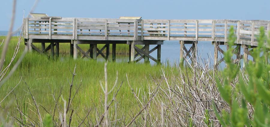 New Point Comfort Preserve - Observation Walkway