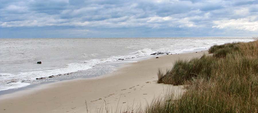 Bethel Beach Natural Area Preserve