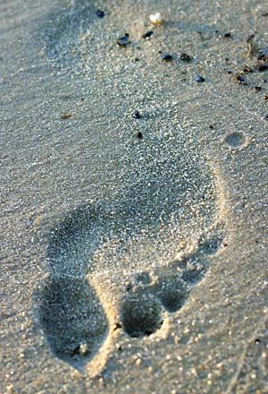 foot print in sand