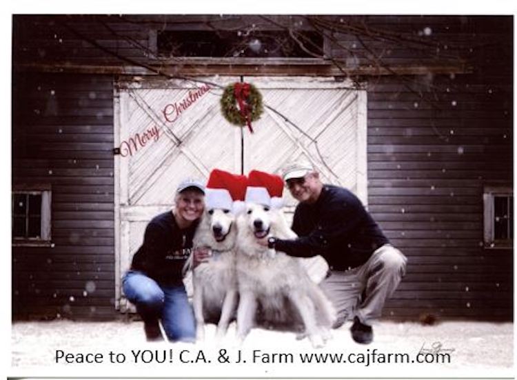 Christmas CA&J Farm