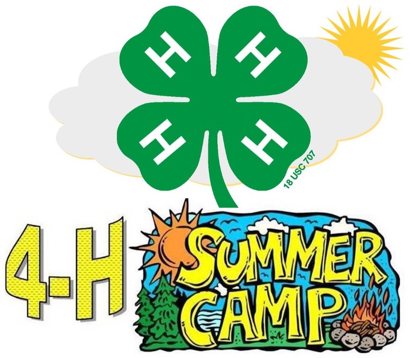 Image result for 4-H Camp Graphic