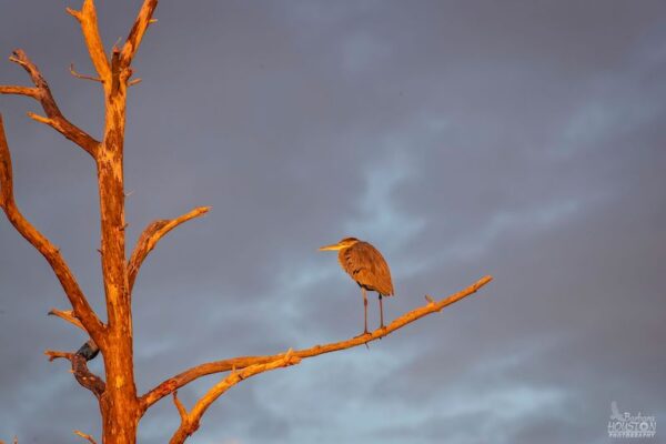 Top Ten Things to do in Mathews this Year - Mathews County Visitor Center