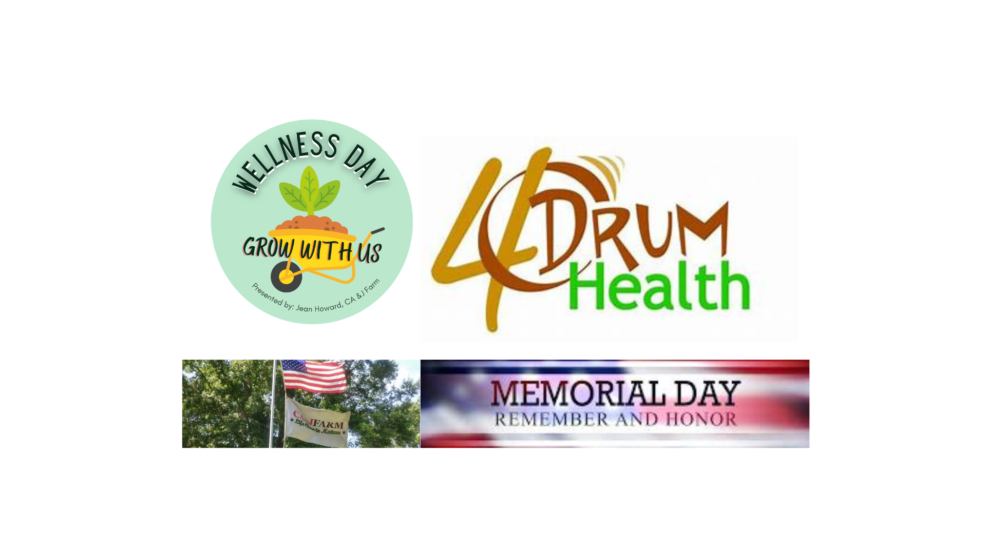 wellness-day-mathews-county-visitor-center